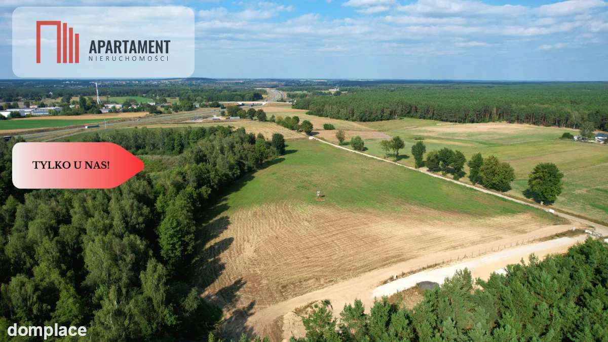 *Działki 830- 3132m2 Kowalewo Szubin ŚCIANA LASU — zdjęcie 11