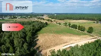 *Działki 830- 3132m2 Kowalewo Szubin ŚCIANA LASU — zdjęcie 11
