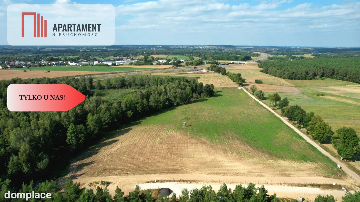*Działki 830- 3132m2 Kowalewo Szubin ŚCIANA LASU — zdjęcie 4