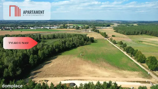*Działki 830- 3132m2  Kowalewo Szubin ŚCIANA LASU — zdjęcie 4