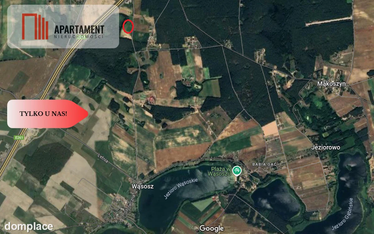 *Działki 830- 3132m2 Kowalewo Szubin ŚCIANA LASU — zdjęcie 12