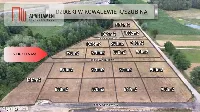 *Działki 830- 3132m2 Kowalewo Szubin ŚCIANA LASU — zdjęcie 1