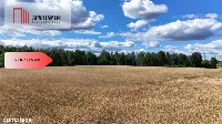 *Działki 830- 3132m2 Kowalewo Szubin ŚCIANA LASU — zdjęcie 14
