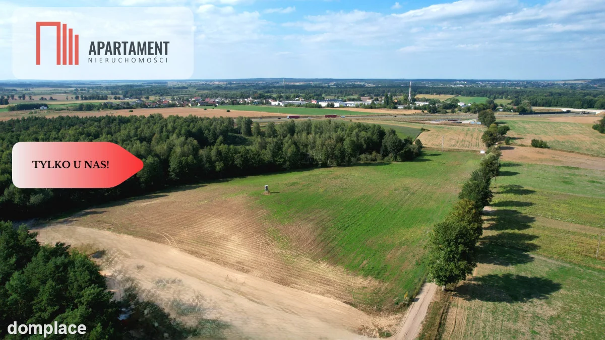 *Działki 830- 3132m2 Kowalewo Szubin ŚCIANA LASU — zdjęcie 15