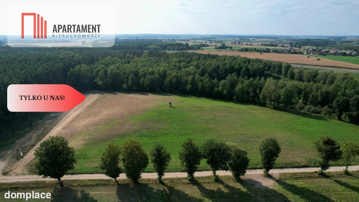 *Działki 830- 3132m2 Kowalewo Szubin ŚCIANA LASU — zdjęcie 6