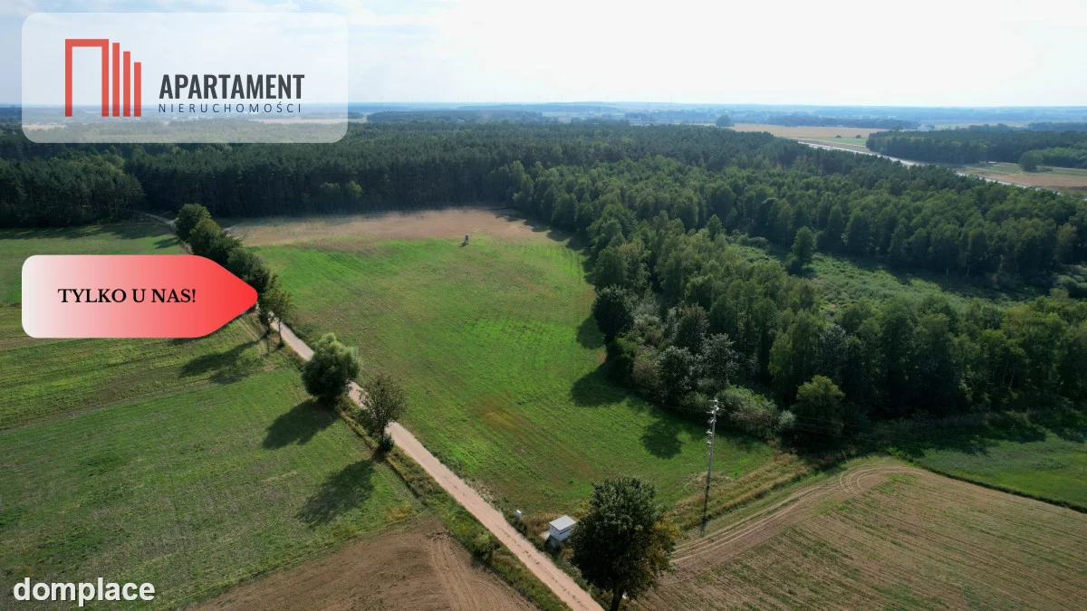 *Działki 830- 3132m2 Kowalewo Szubin ŚCIANA LASU — zdjęcie 8