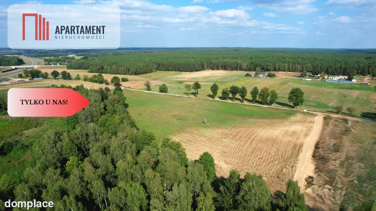 *Działki 830- 3132m2 Kowalewo Szubin ŚCIANA LASU — zdjęcie 9