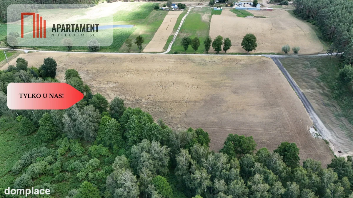 *Działki 830- 3132m2 Kowalewo Szubin ŚCIANA LASU — zdjęcie 13