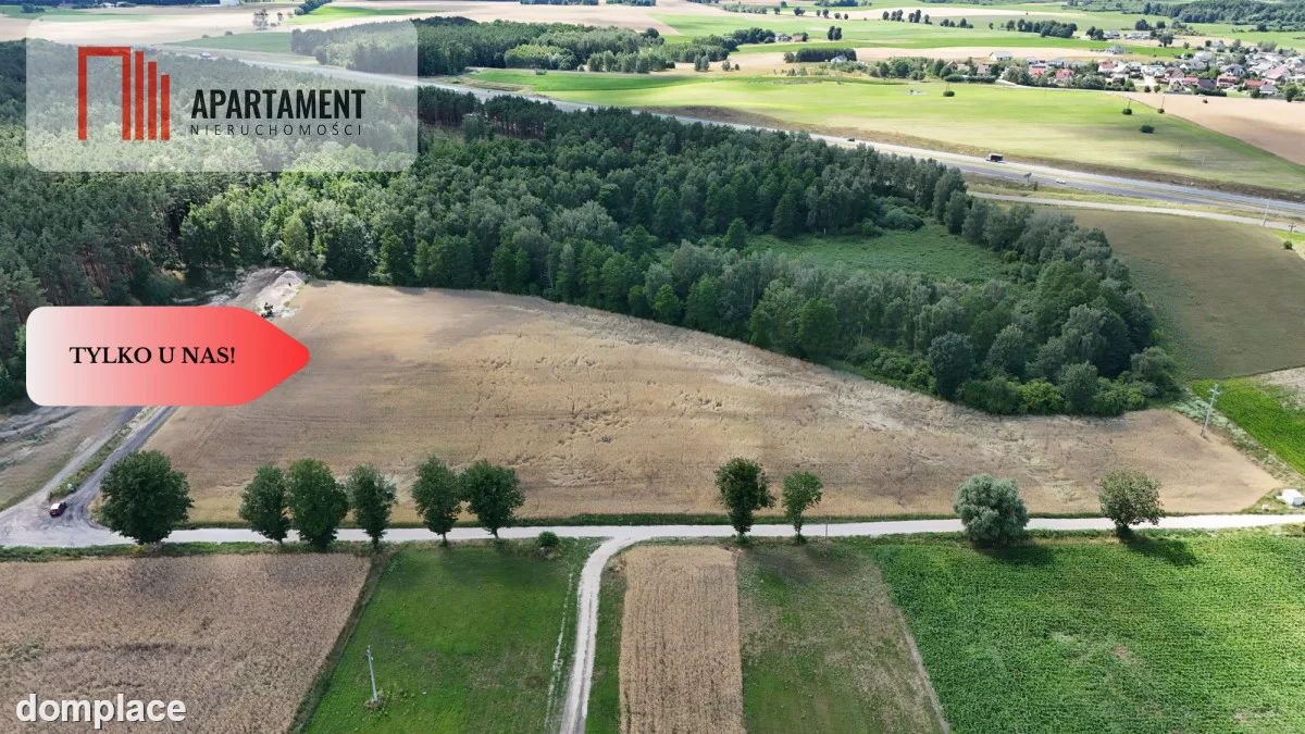 *Działki 830- 3132m2 Kowalewo Szubin ŚCIANA LASU — zdjęcie 3