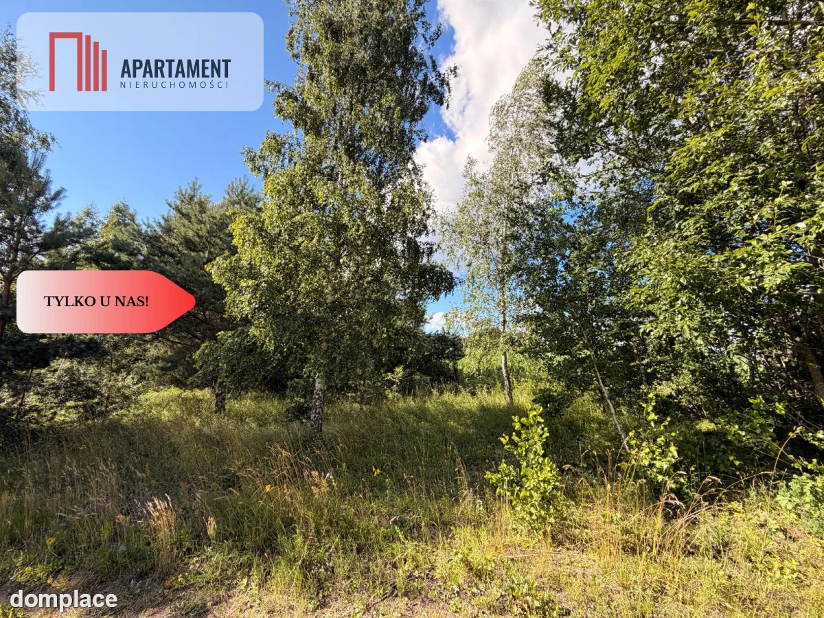Tylko u nas! Działka-cisza, natura i potencjał! — zdjęcie 3