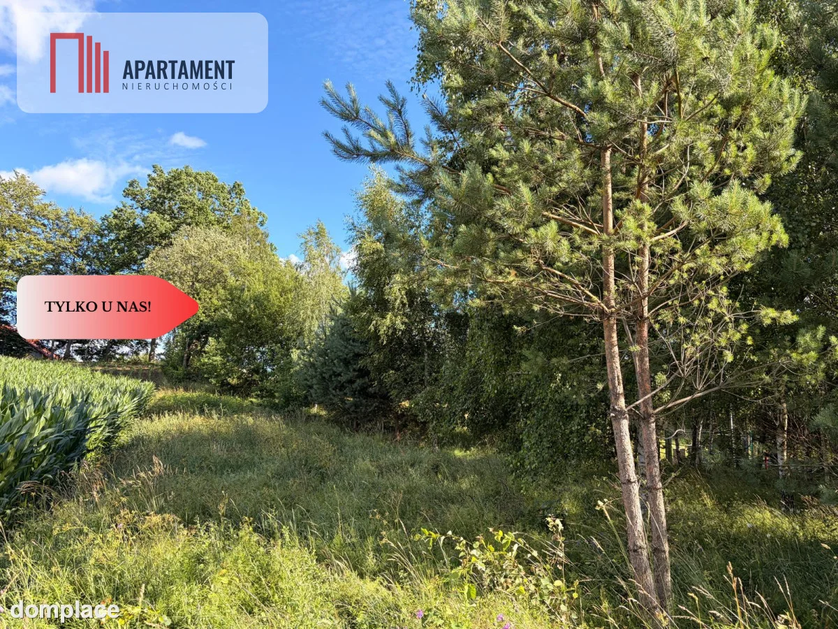 Tylko u nas! Działka-cisza, natura i potencjał! — zdjęcie 6