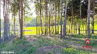 Działka z widokiem. Krynice — zdjęcie 3