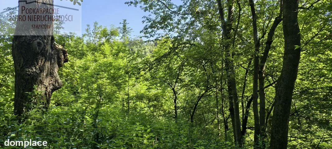 Dom — strzyżowski, Strzyżów — zdjęcie 3