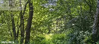Dom — strzyżowski, Strzyżów — zdjęcie 4
