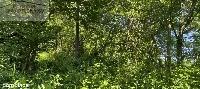 Działka — strzyżowski, Strzyżów — zdjęcie 1
