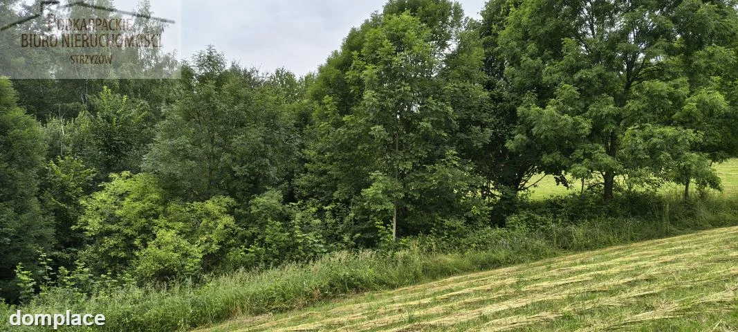 Działka — strzyżowski, Strzyżów — zdjęcie 2