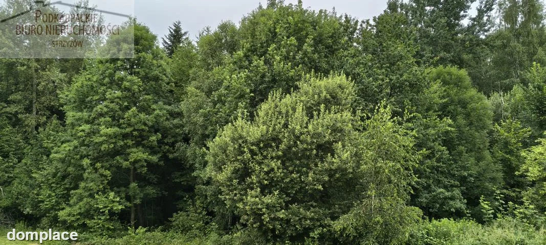 Działka — strzyżowski, Strzyżów — zdjęcie 3