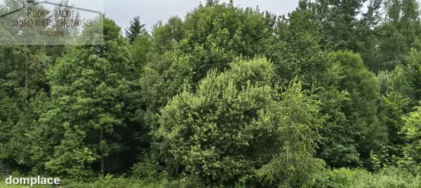 Działka — strzyżowski, Strzyżów — zdjęcie 3