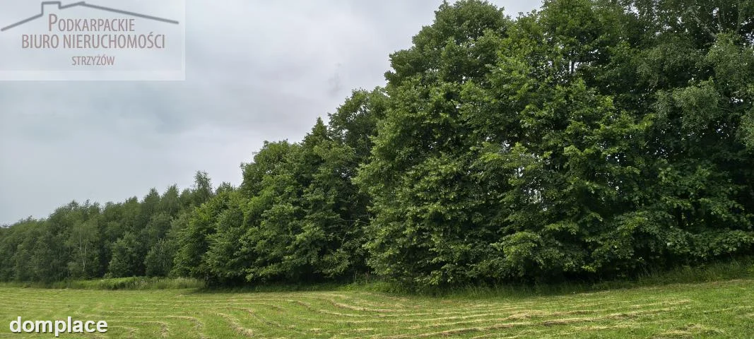 Działka — strzyżowski, Strzyżów — zdjęcie 4
