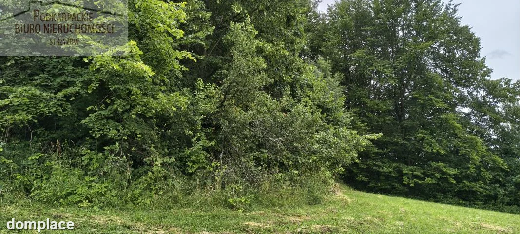 Działka — strzyżowski, Strzyżów — zdjęcie 5