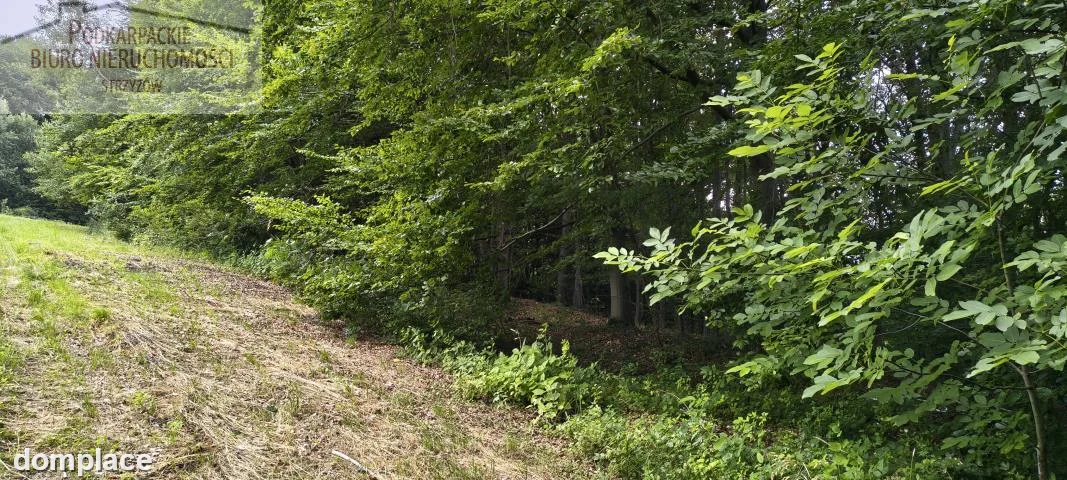 Działka — strzyżowski, Strzyżów — zdjęcie 6