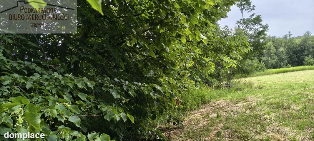 Działka — strzyżowski, Strzyżów — zdjęcie 7