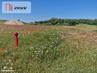 Działka budowlana 8308 m² z WZ | Roztoka | — zdjęcie 7