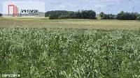 Działka na dom marzeń-twoje miejsce w naturze — zdjęcie 4