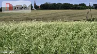 Działka na dom marzeń-twoje miejsce w naturze — zdjęcie 2
