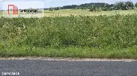 Działka na dom marzeń-twoje miejsce w naturze — zdjęcie 8