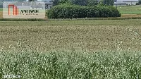 Działka na dom marzeń-twoje miejsce w naturze — zdjęcie 3
