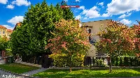 Dom — Trzcianka — zdjęcie 9