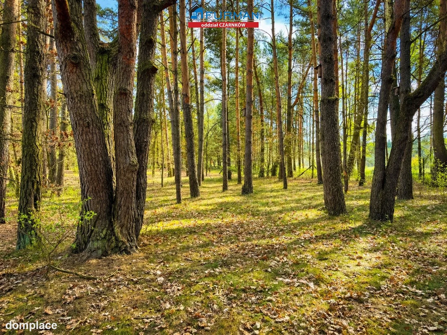 Dom — Zielonowo — zdjęcie 5