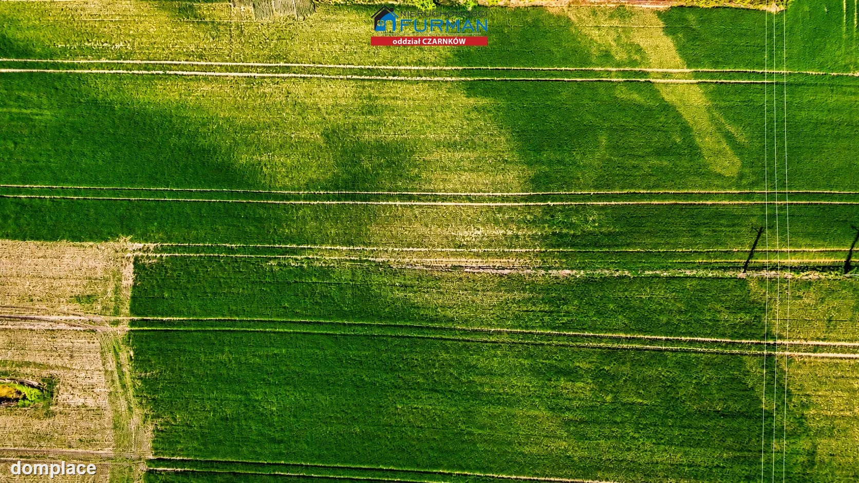 Działka — Czarnków — zdjęcie 7