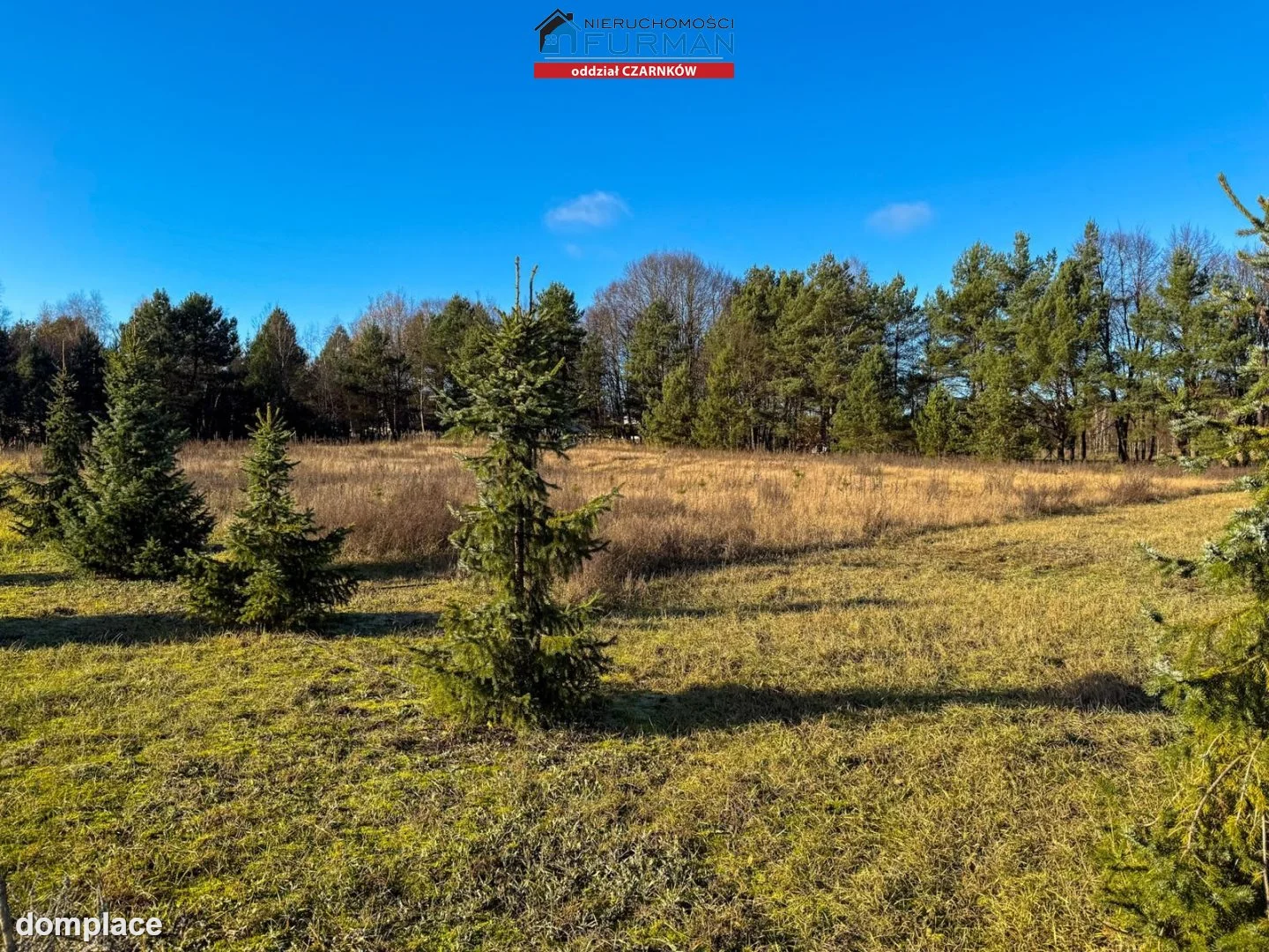 Działka — Rychlik — zdjęcie 11