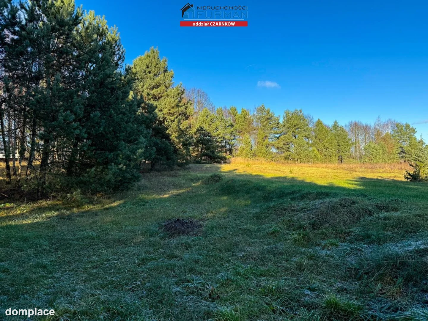Działka — Rychlik — zdjęcie 3