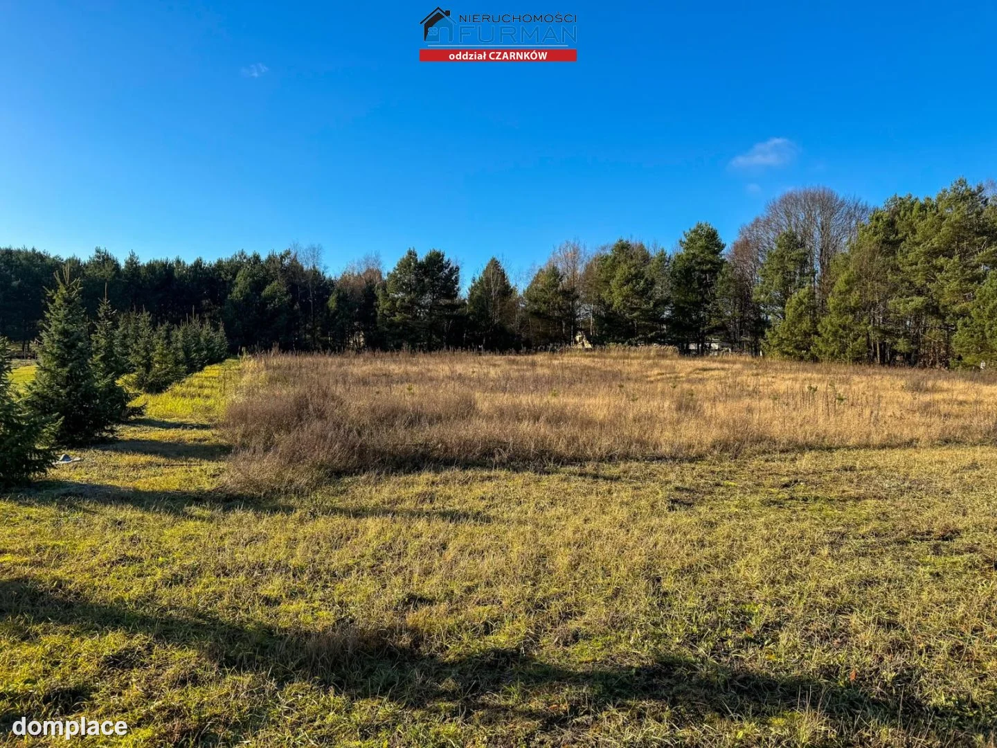 Działka — Rychlik — zdjęcie 9