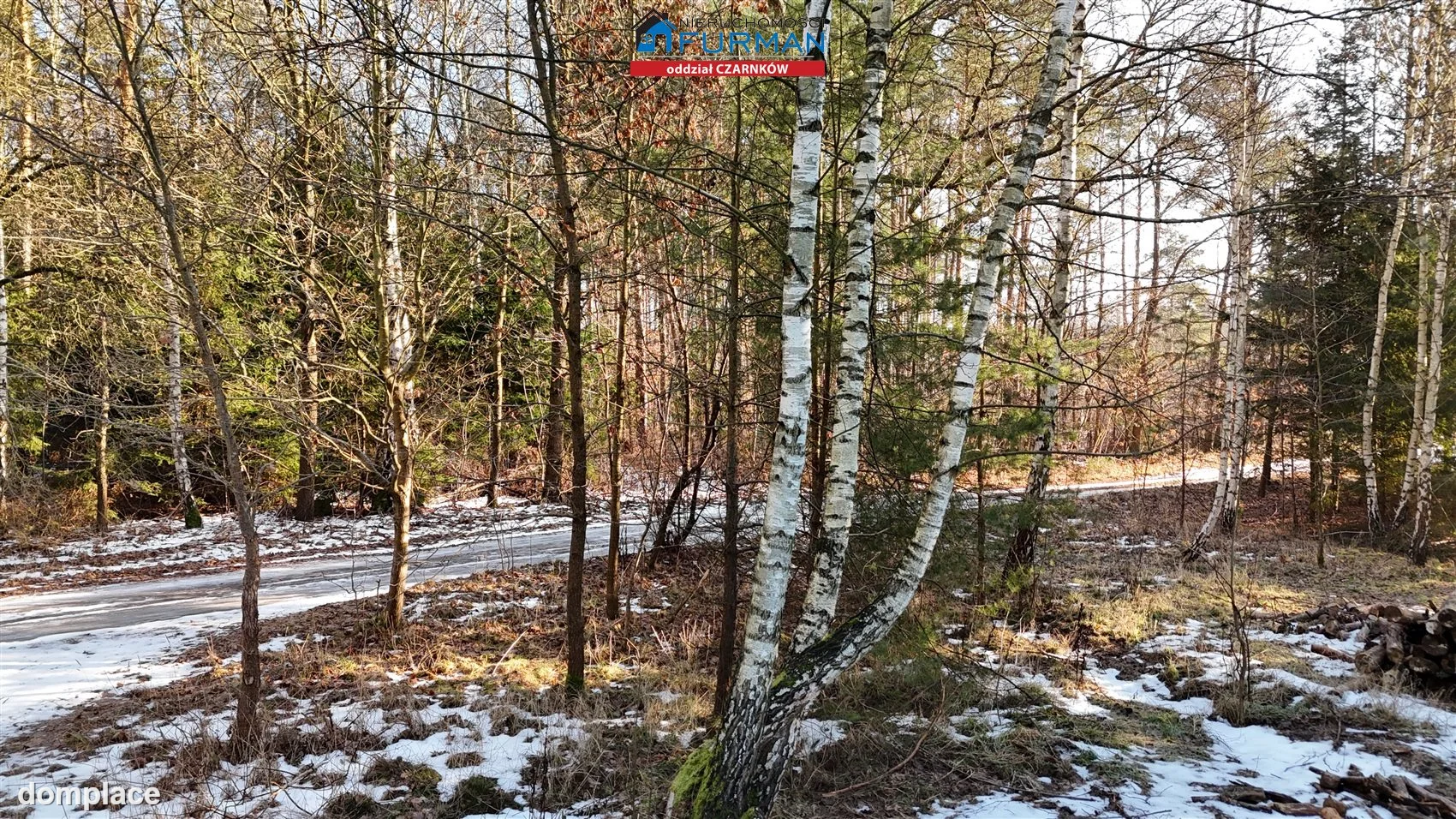 Działka — Lubcz Wielki — zdjęcie 13