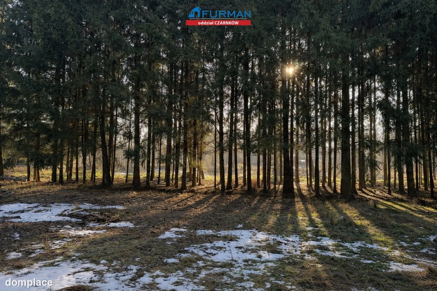 Działka — Lubcz Wielki — zdjęcie 6