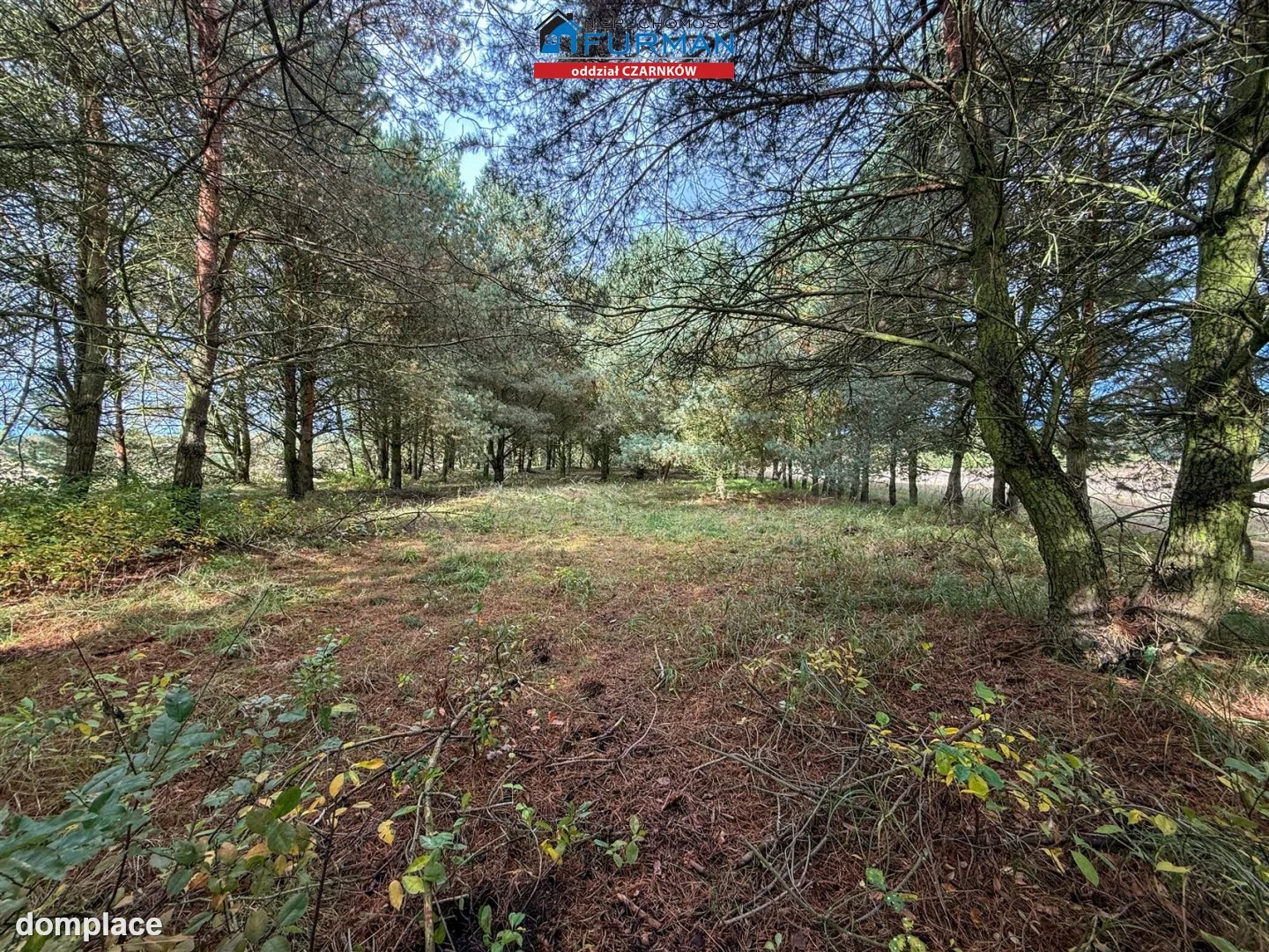 Działka — Rychlik — zdjęcie 15