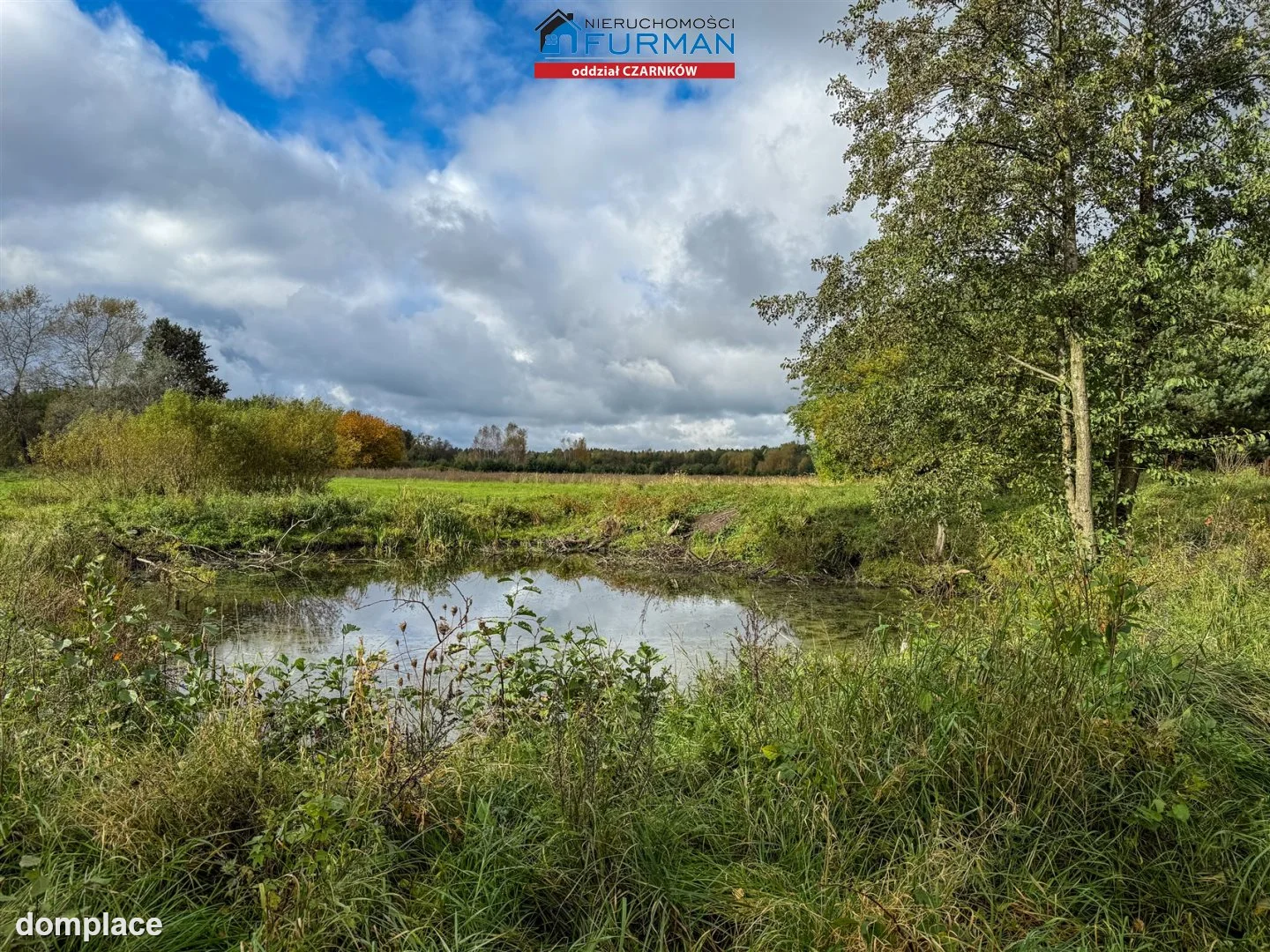 Działka — Rychlik — zdjęcie 4