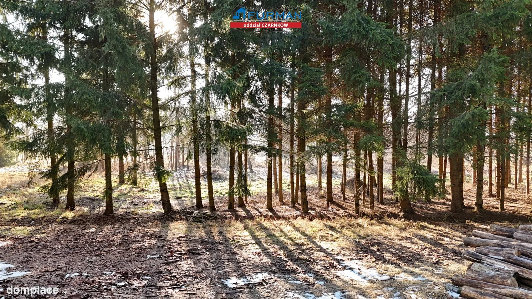 Działka — Lubcz Wielki — zdjęcie 9