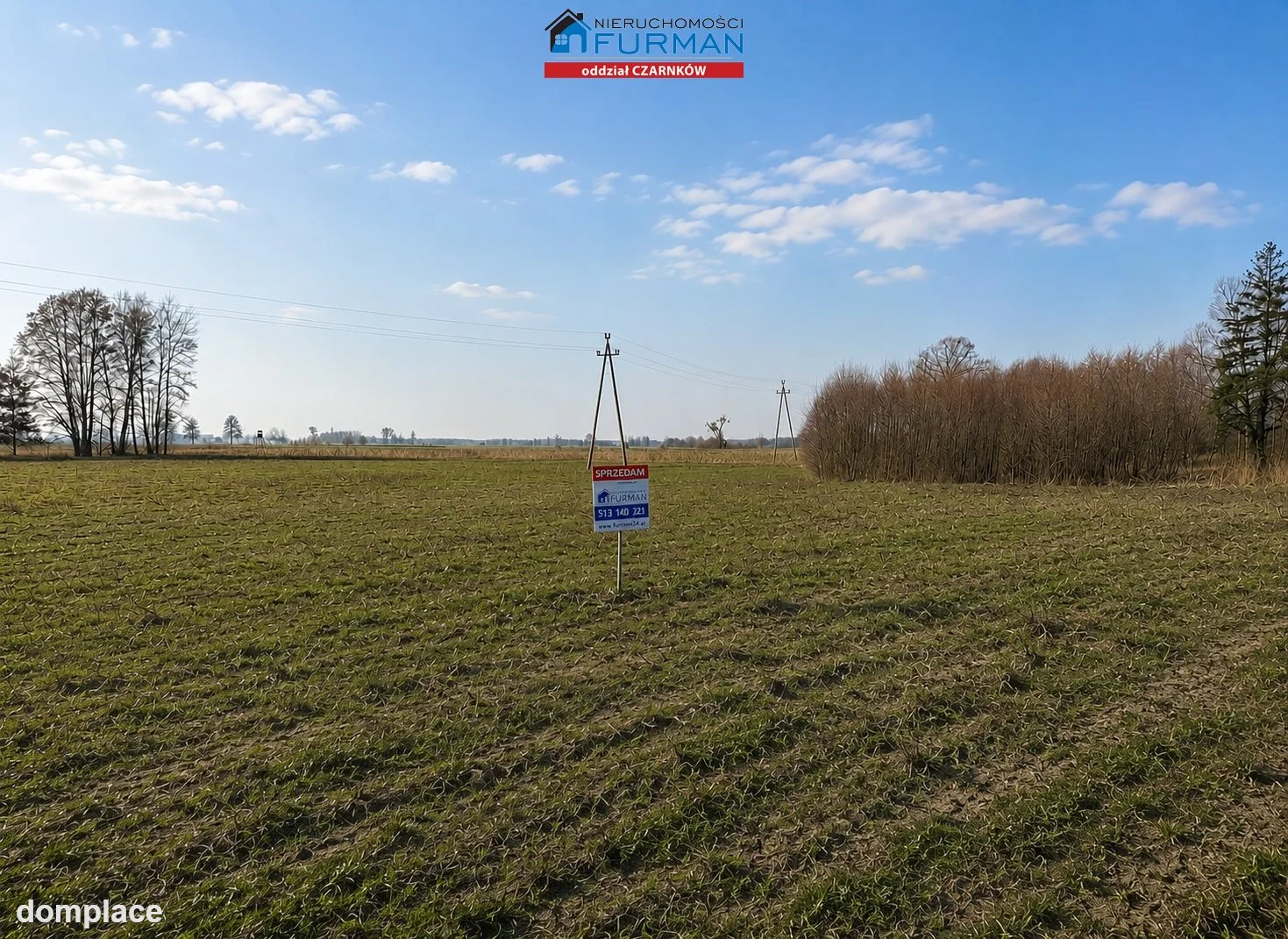 Działka — Siedlisko — zdjęcie 6