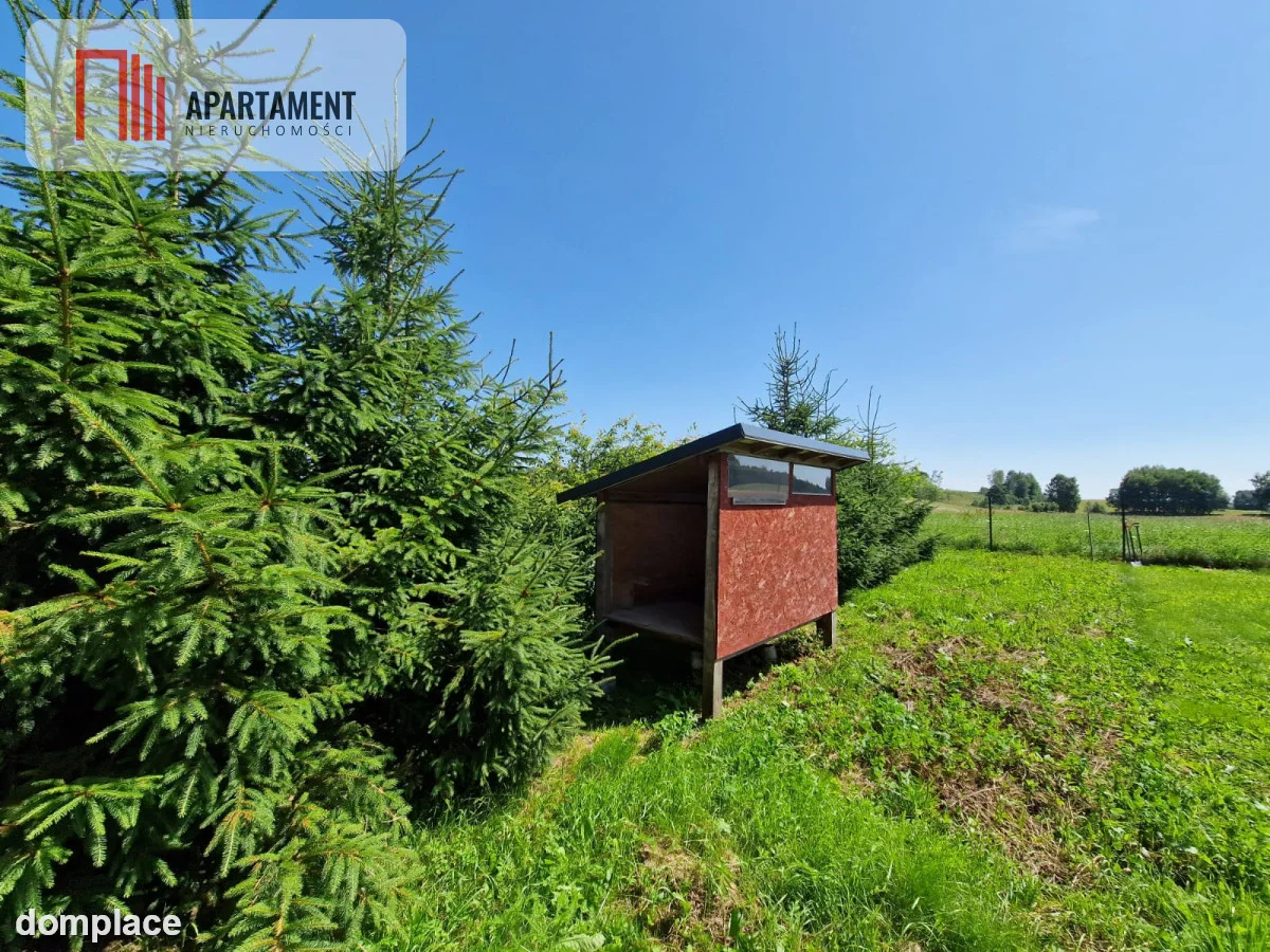 Siedlisko, gospodarstwo, gotowe do zamieszkania! — zdjęcie 9