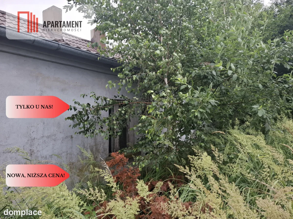 Piękocin - Dom na wsi w Dolinie Baryczy — zdjęcie 13