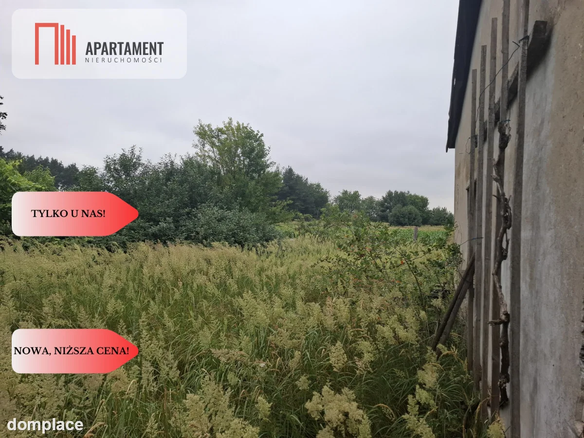Piękocin - Dom na wsi w Dolinie Baryczy — zdjęcie 14