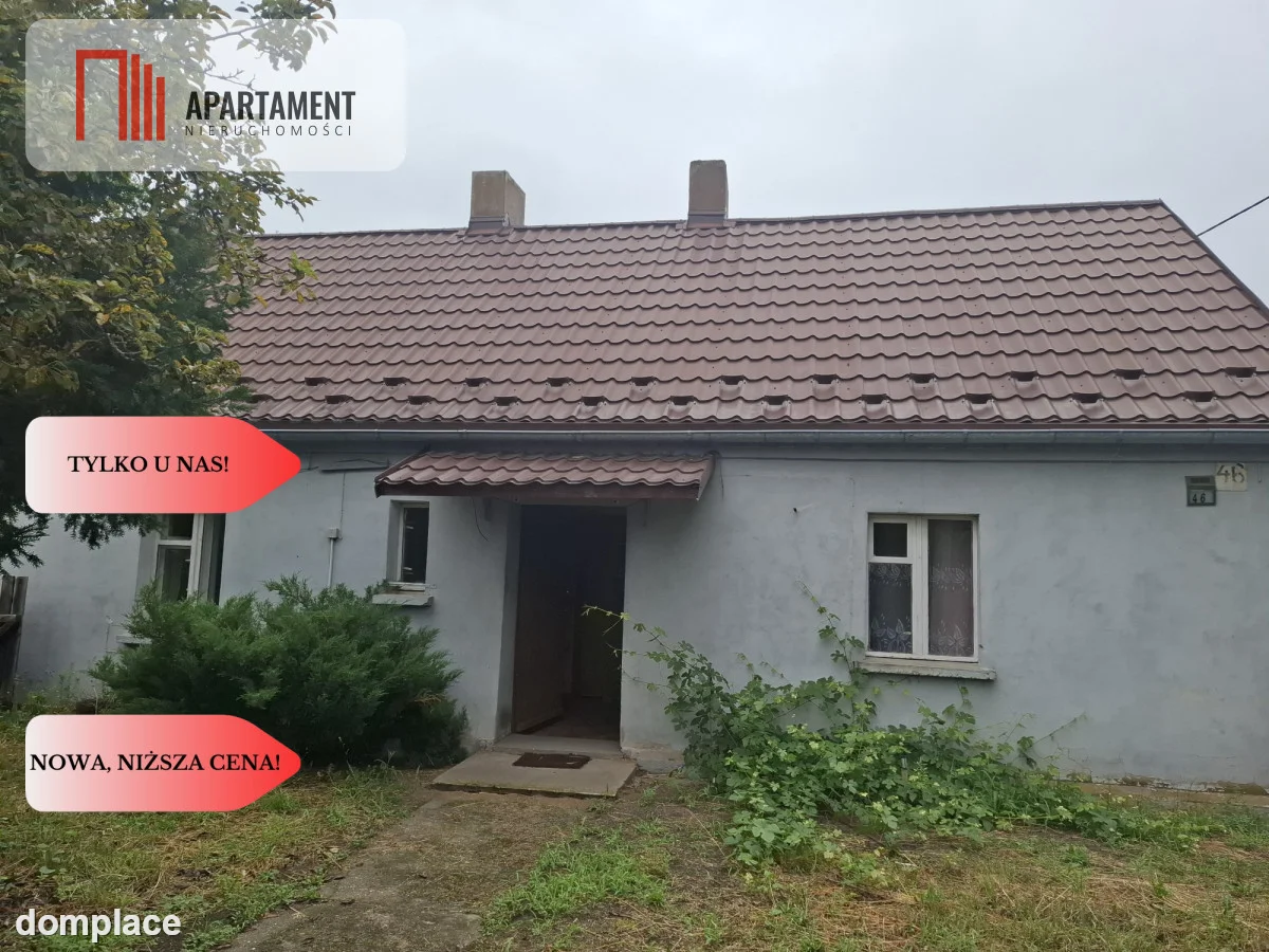Piękocin - Dom na wsi w Dolinie Baryczy — zdjęcie 2