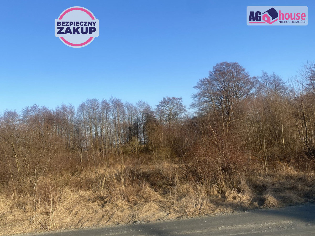 Działka rolna z dostępem do zatoki