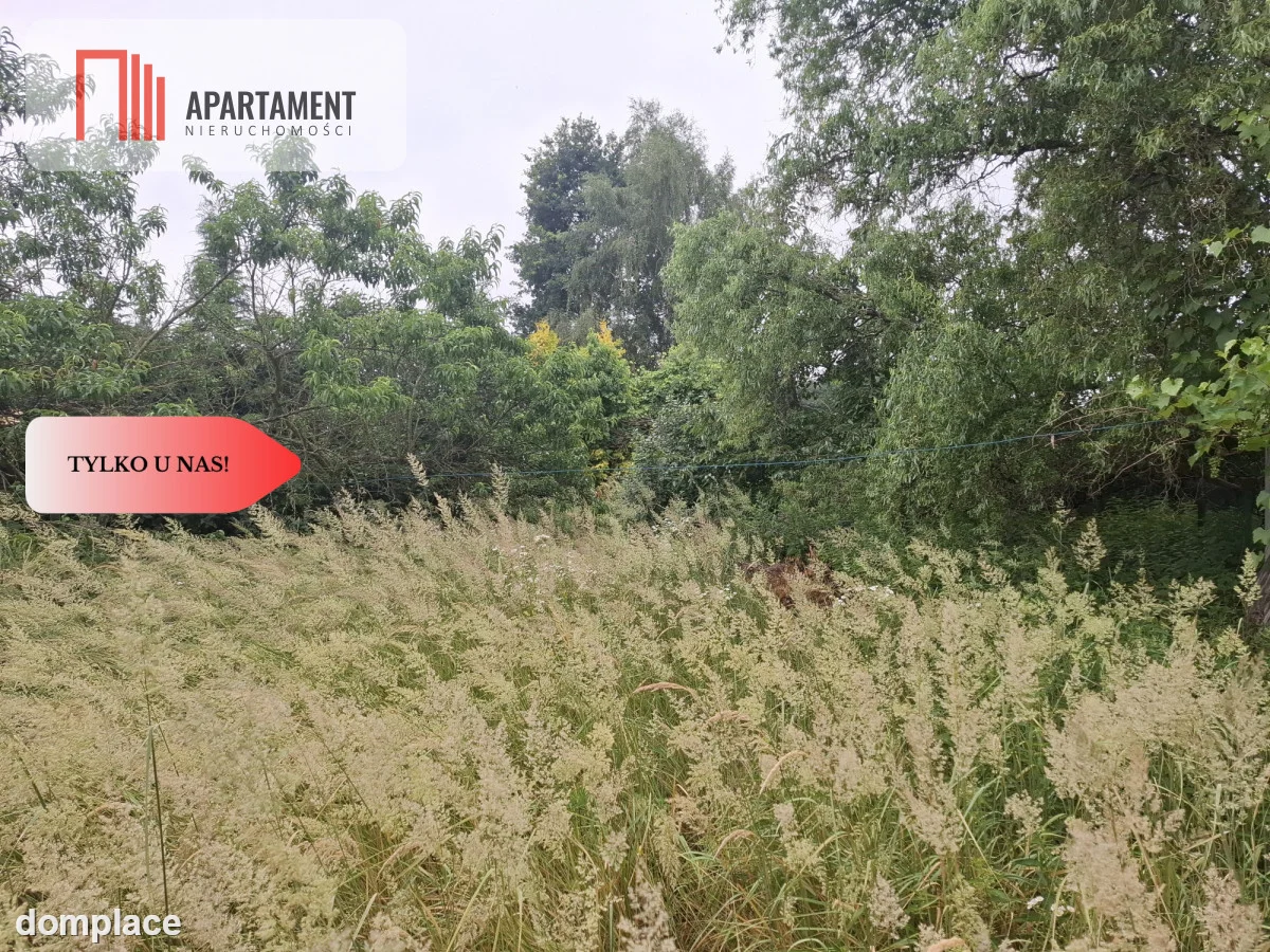 Działka 5100 m2 w Dolinie Baryczy — zdjęcie 4