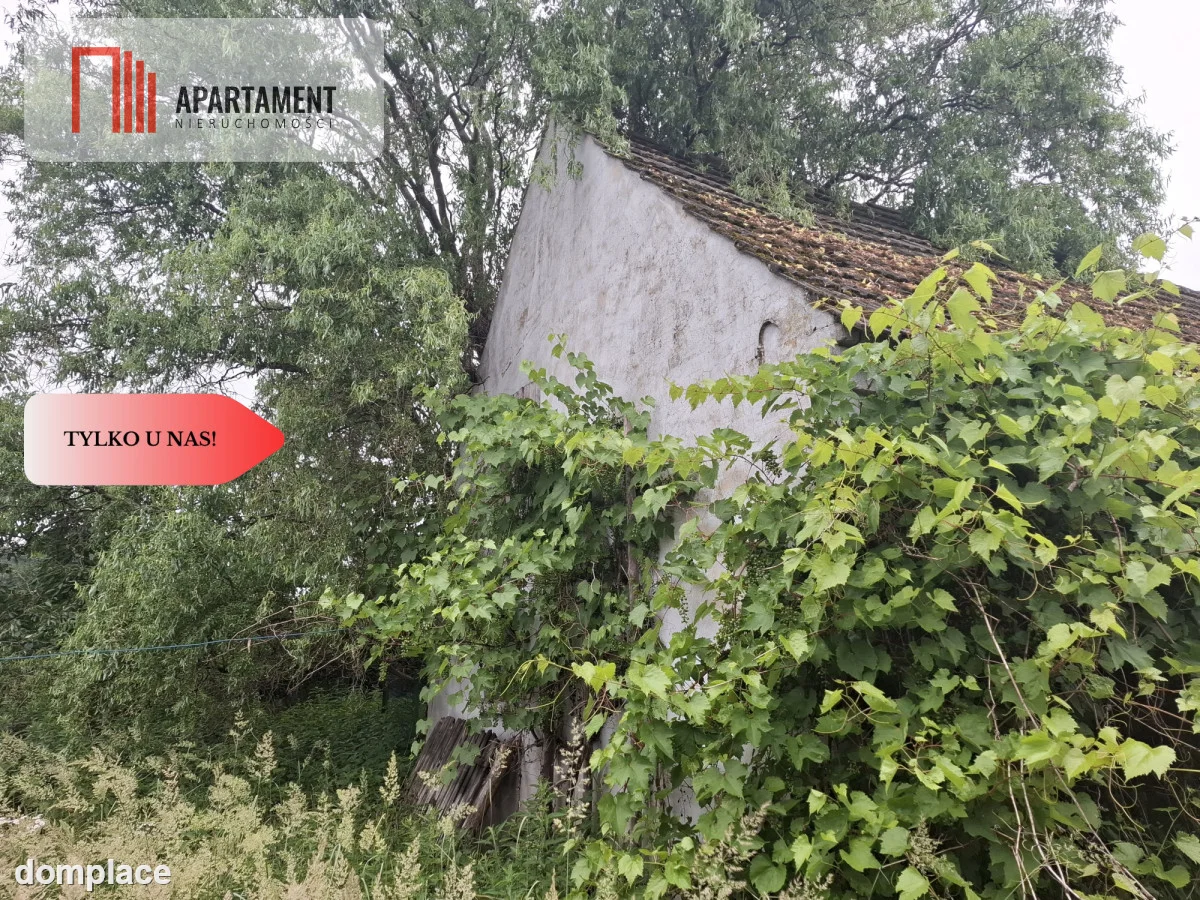 Działka 5100 m2 w Dolinie Baryczy — zdjęcie 5